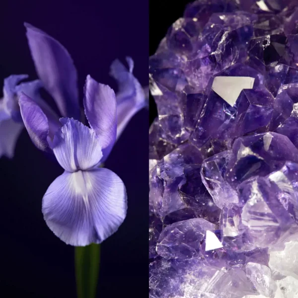 Firming Day Cream SPF 20