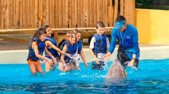 SeaWorld San Diego Tickets Online Best Deals 2025 dolphin kids4