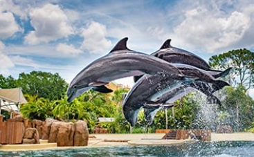 SeaWorld San Diego Tickets Online Best Deals 2025 shows, experiences and learning 1