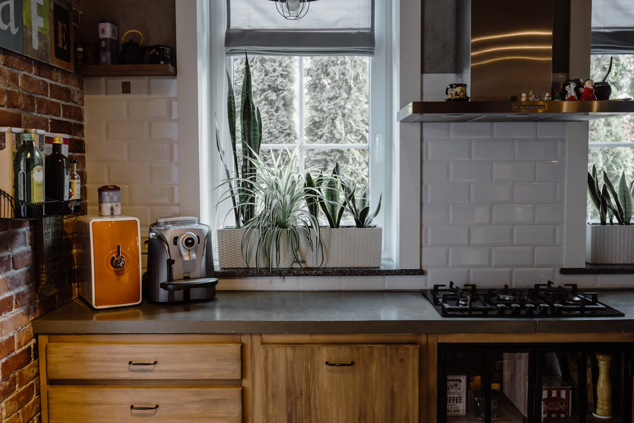 about-01 Contemporary kitchen interior with plants, gas stove, and coffee maker.