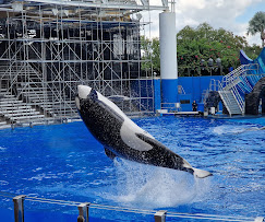 SeaWorld San Diego Tickets Online Best Deals 2025 unnamed (1)