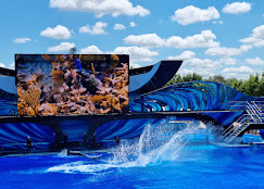 SeaWorld San Diego Tickets Online Best Deals 2025 unnamed